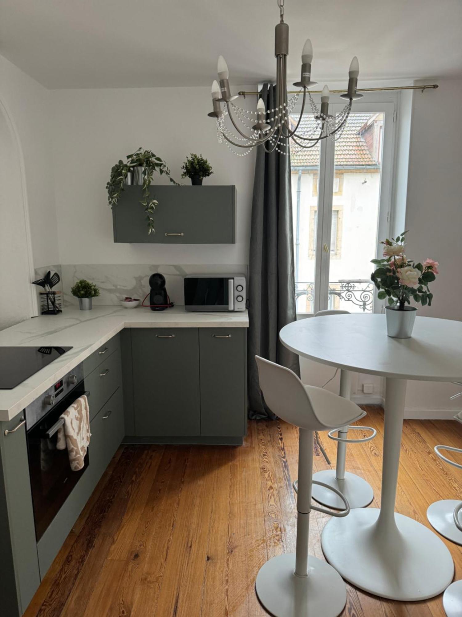 Appartement T2 Plein Centre Dijon